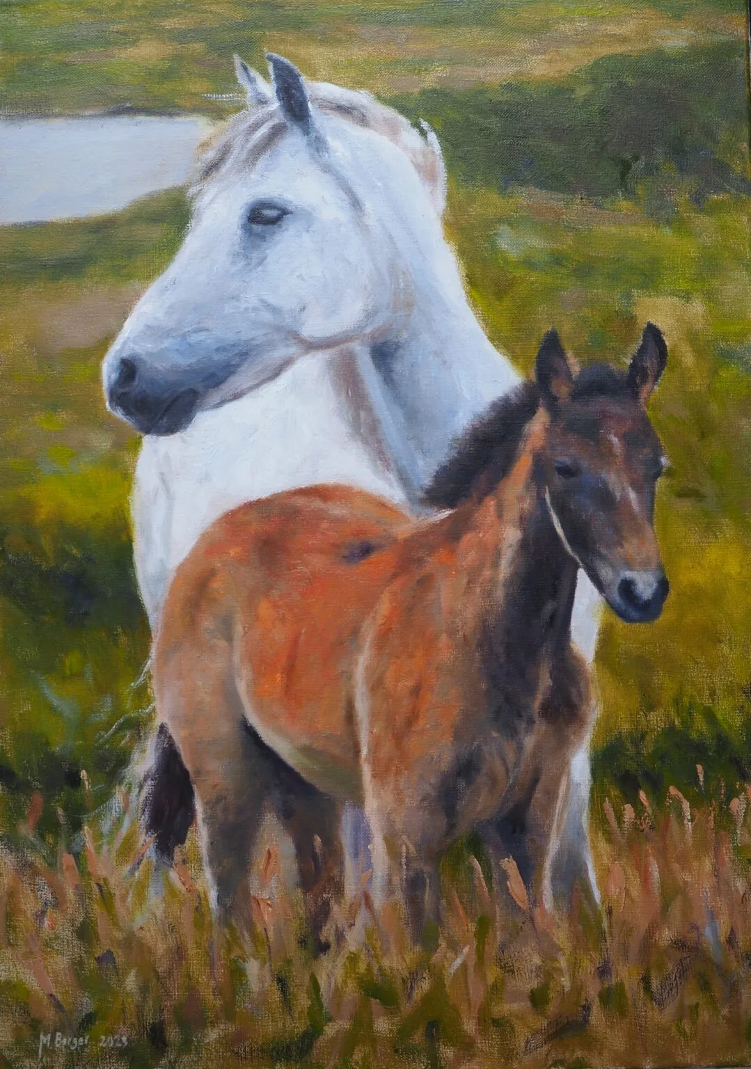 Two horses, scene from Ireland, 2023 oil painting, 50x70cm